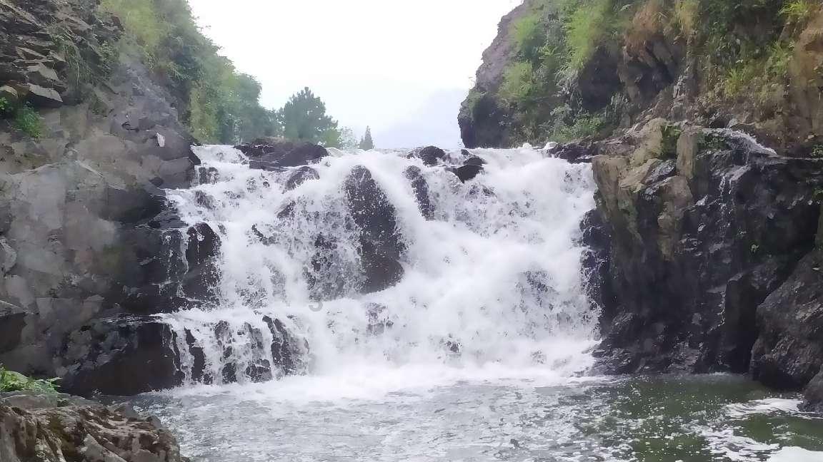 蓝狐视频